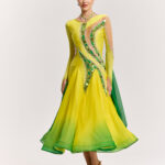 競技用/デモドレス（D2501G）【オーダー品】